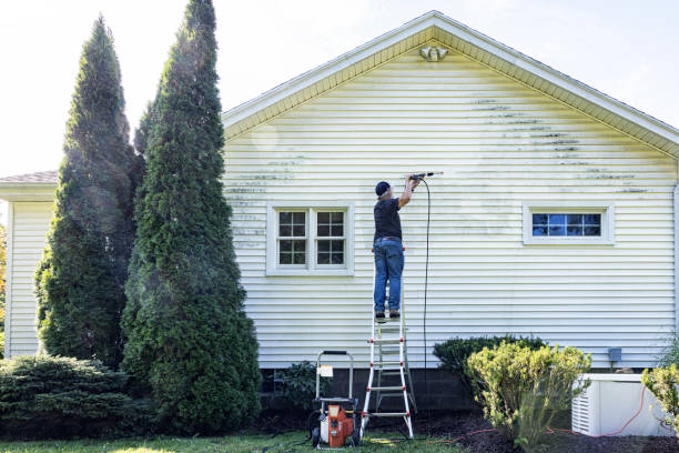Best Gutter Cleaning  in Nephi, UT